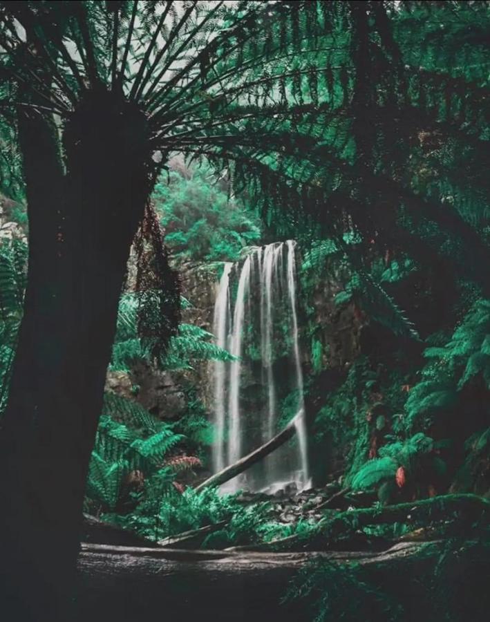 Great Ocean Road Wellness And Nature Stay Apollo Bay Dış mekan fotoğraf